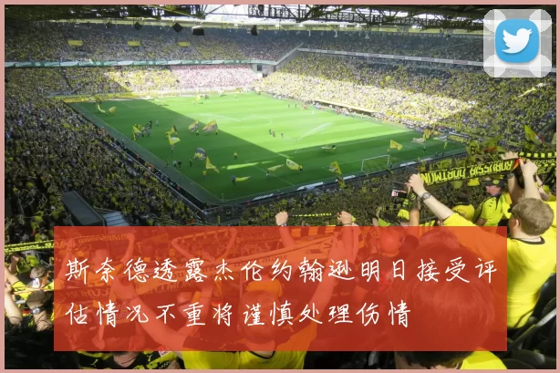 斯奈德透露杰伦约翰逊明日接受评估情况不重将谨慎处理伤情