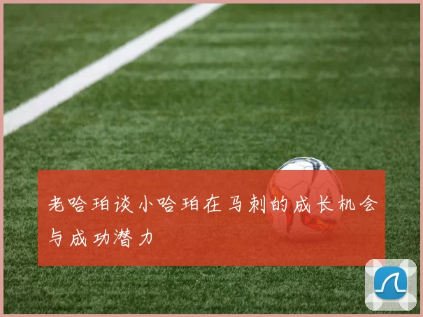 老哈珀谈小哈珀在马刺的成长机会与成功潜力