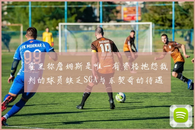 霍里称詹姆斯是唯一有资格抱怨裁判的球员缺乏SGA与东契奇的待遇