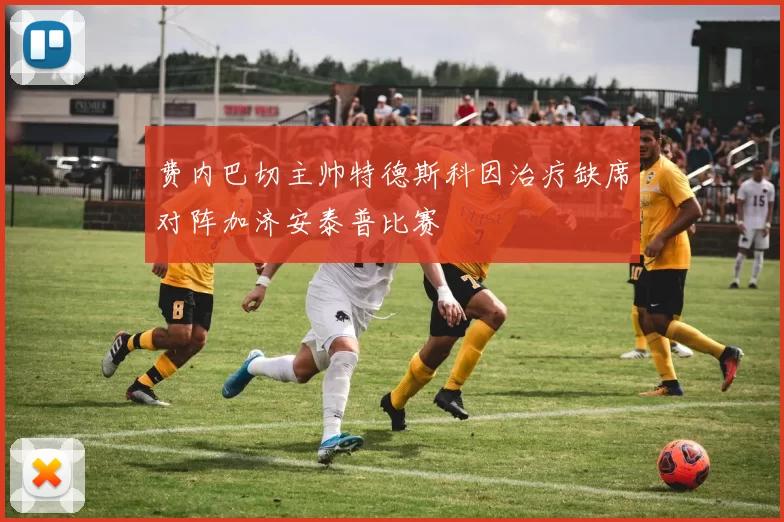 费内巴切主帅特德斯科因治疗缺席对阵加济安泰普比赛